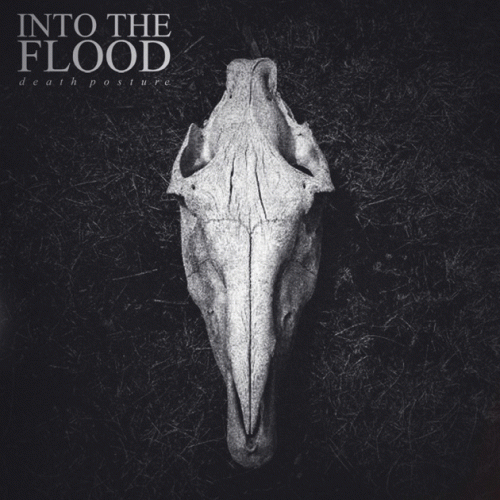 Into The Flood : Death Posture